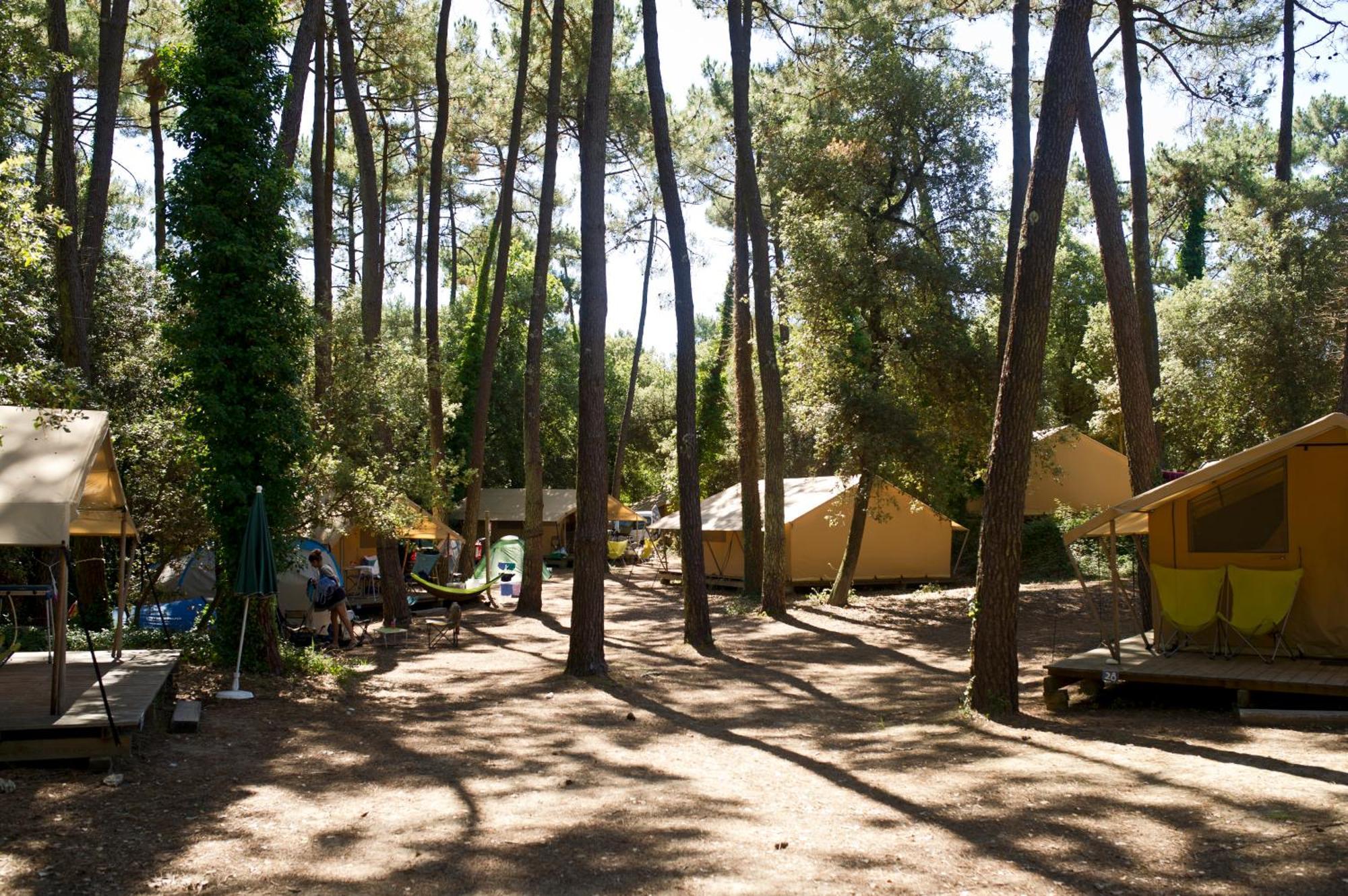 Huttopia Oléron Les Chênes Verts Dolus d'Oléron Habitación foto